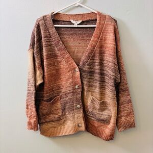 Terra and Sky V neck cardigan, women’s size 14, beautiful fall colors